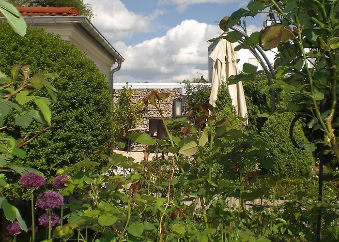 Rosa 3* Allershausen
