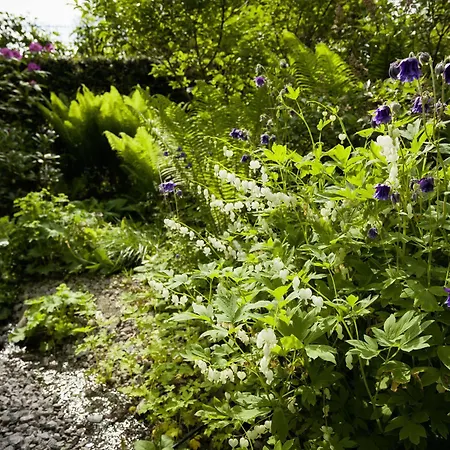 Rosa 3* Allershausen