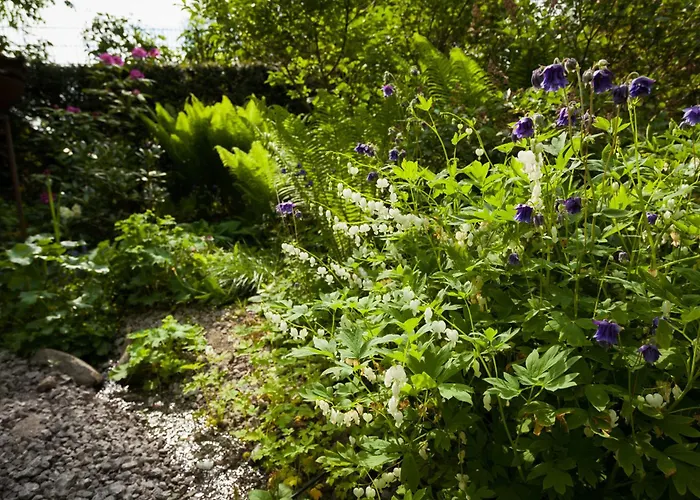 Rosa 3* Allershausen